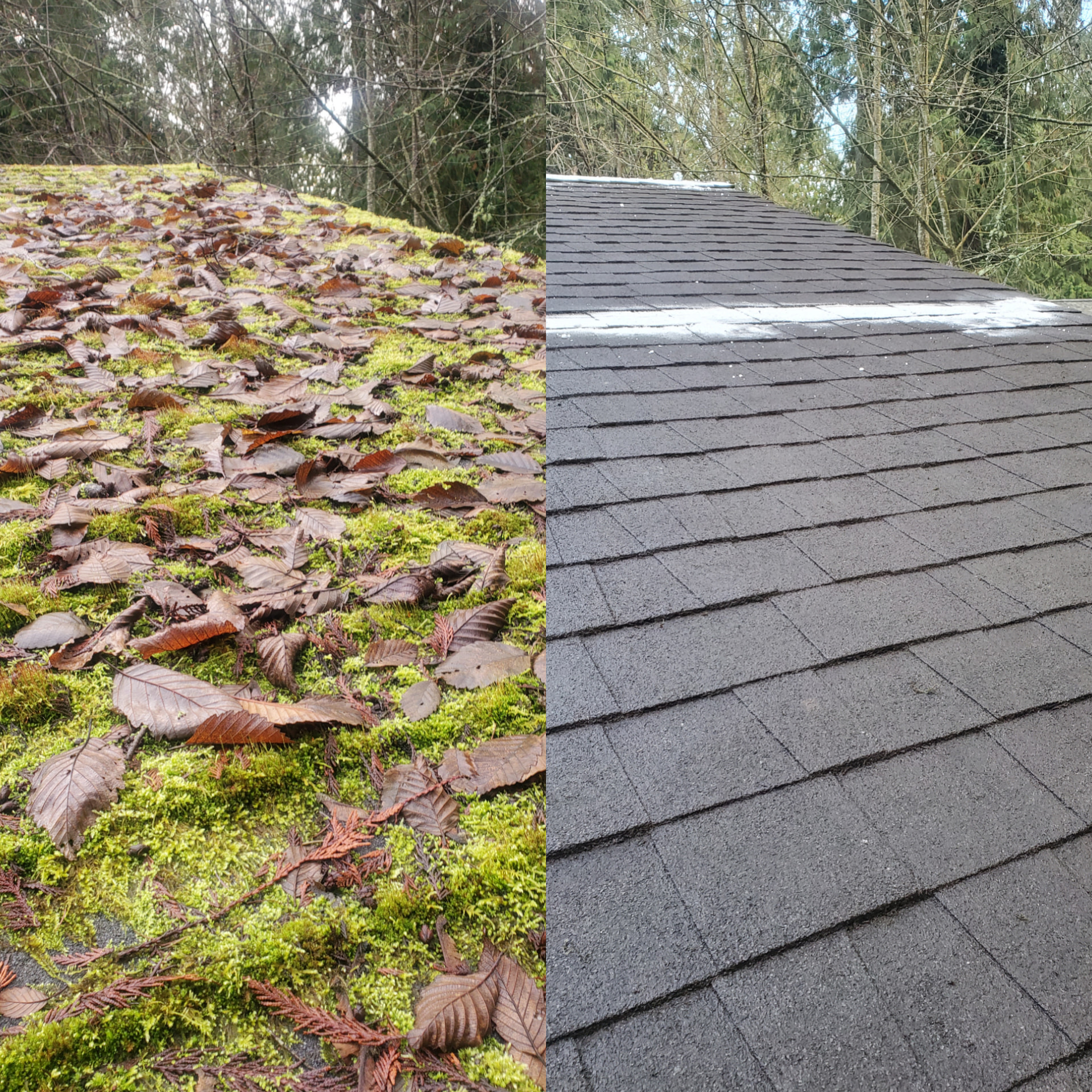 Before and after roof cleaning in Kitsap County home