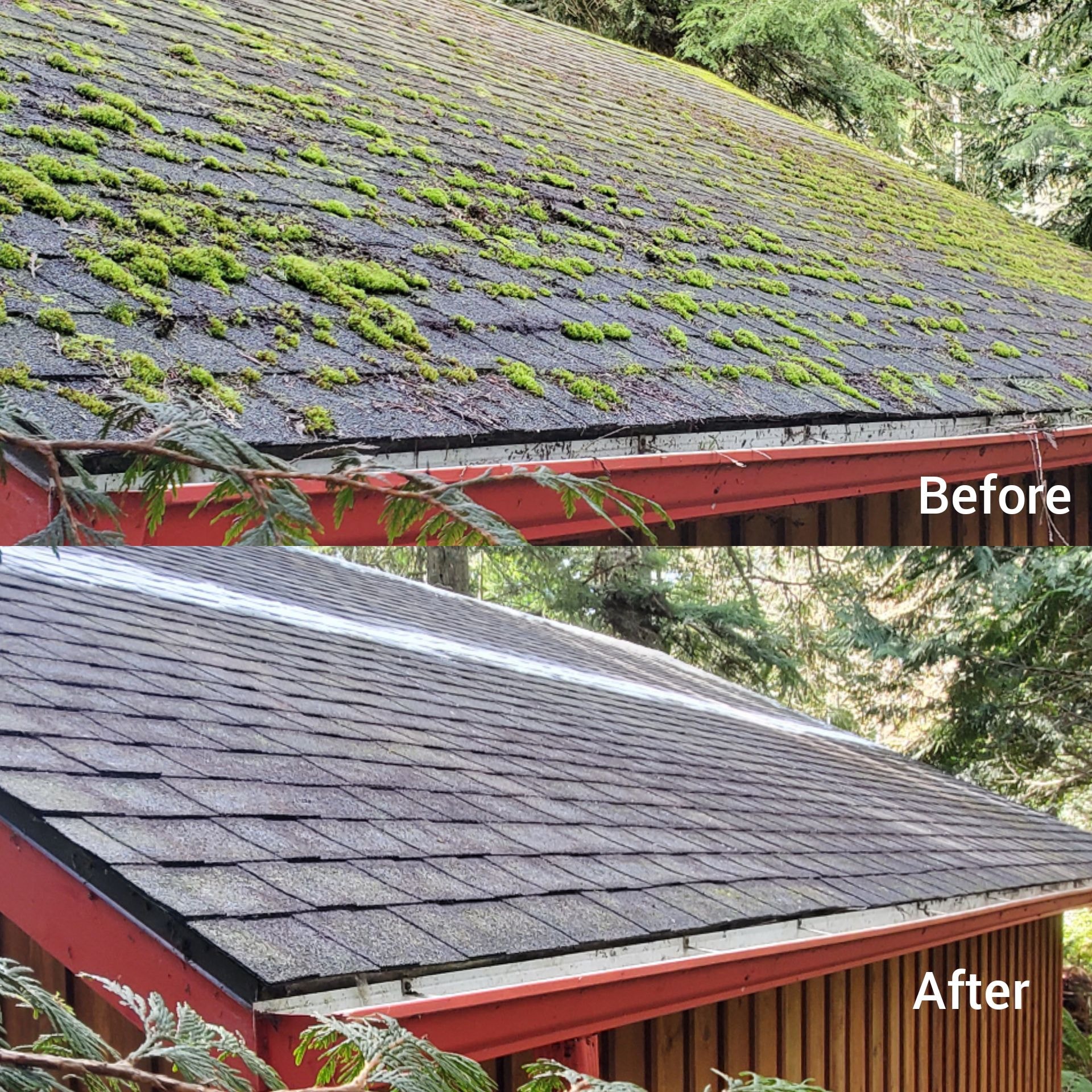 Before and after roof cleaning in Kitsap County home