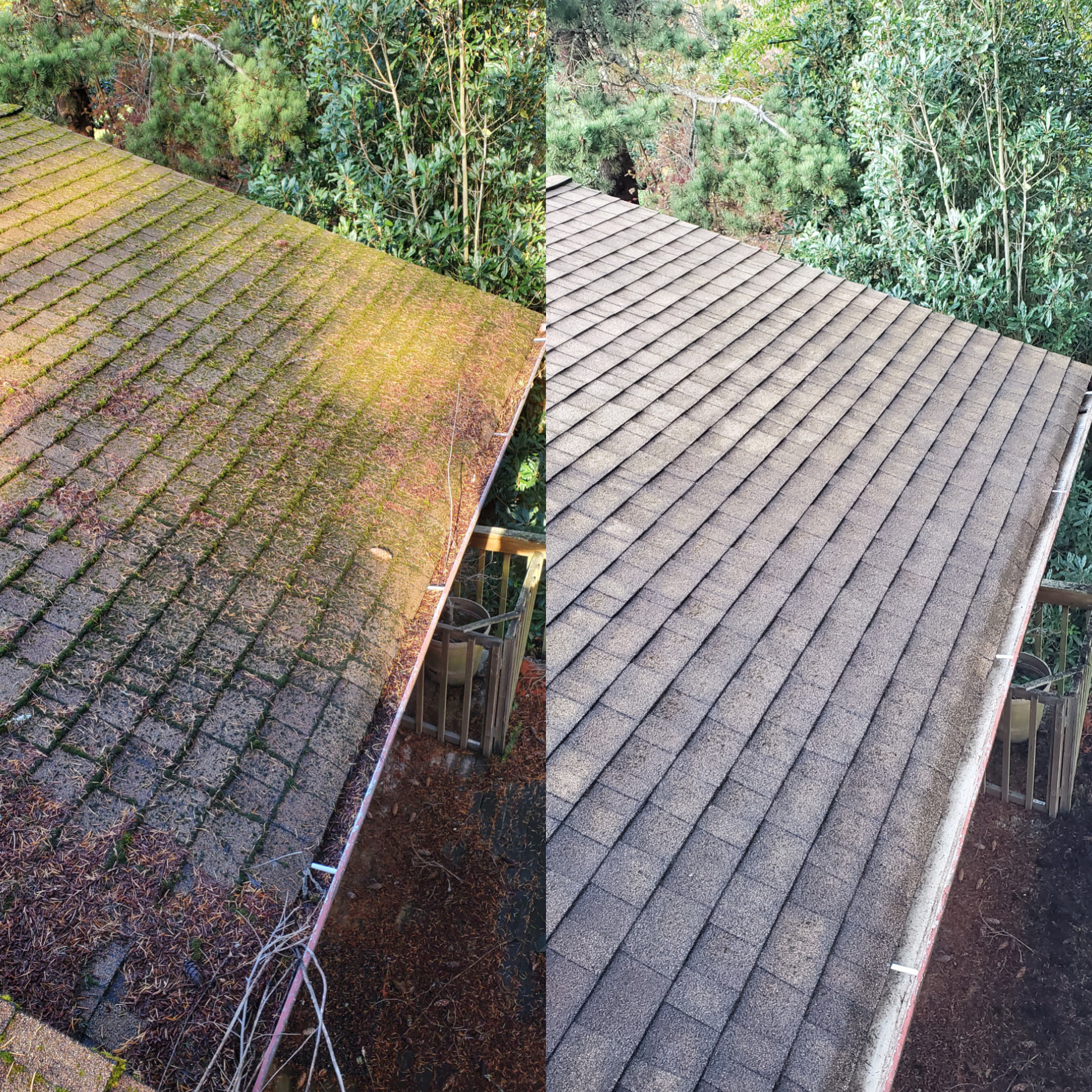Before and after roof cleaning in Kitsap County home