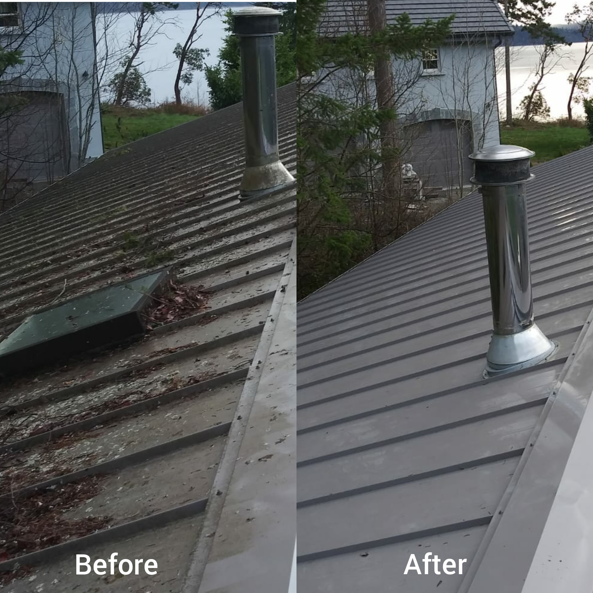 Before and after roof cleaning in Kitsap County home