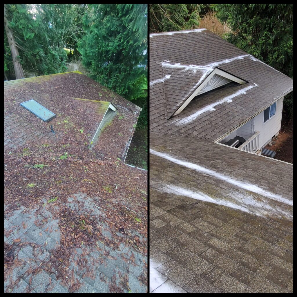 Professional roof cleaning to remove moss and debris