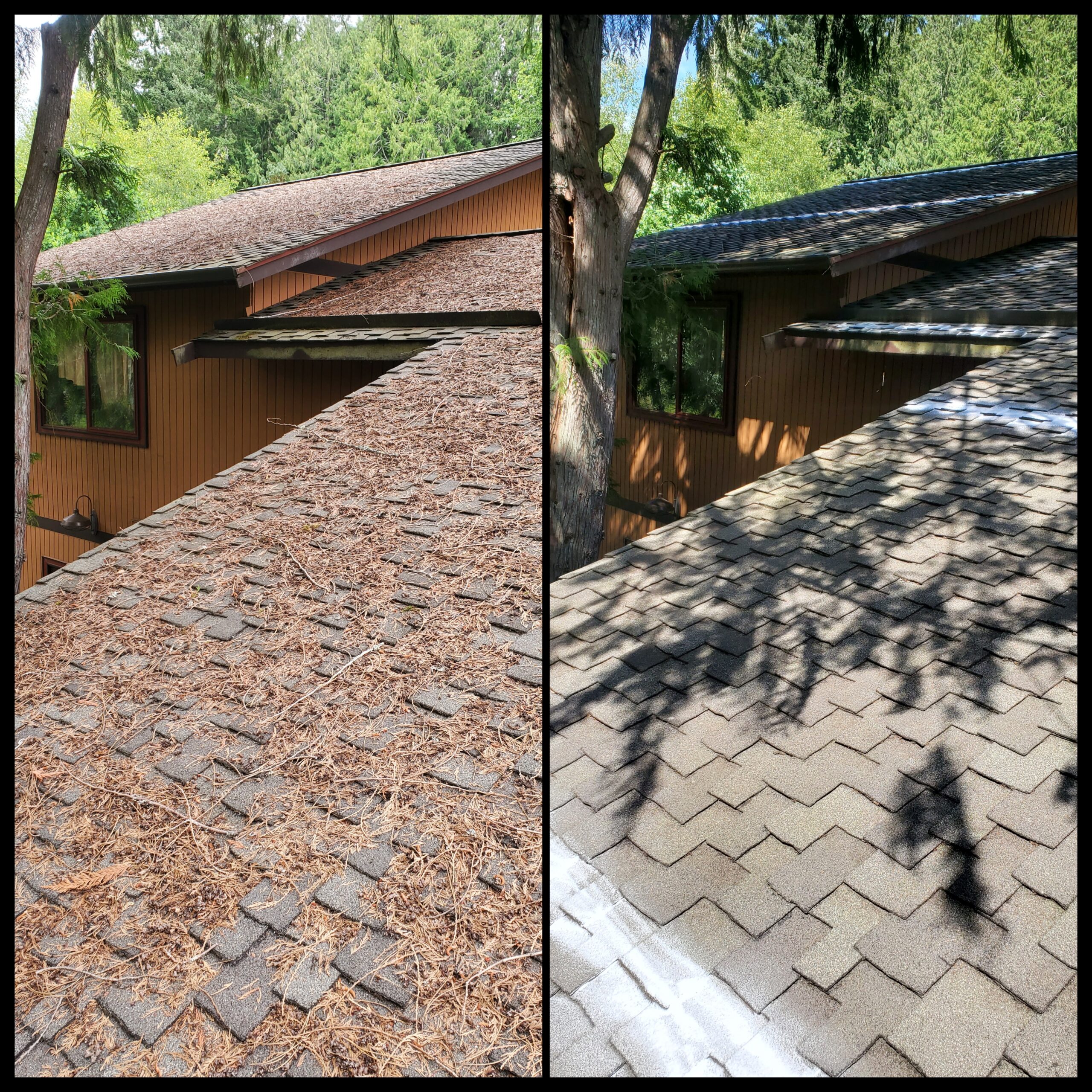Before and after roof cleaning in Kitsap County home