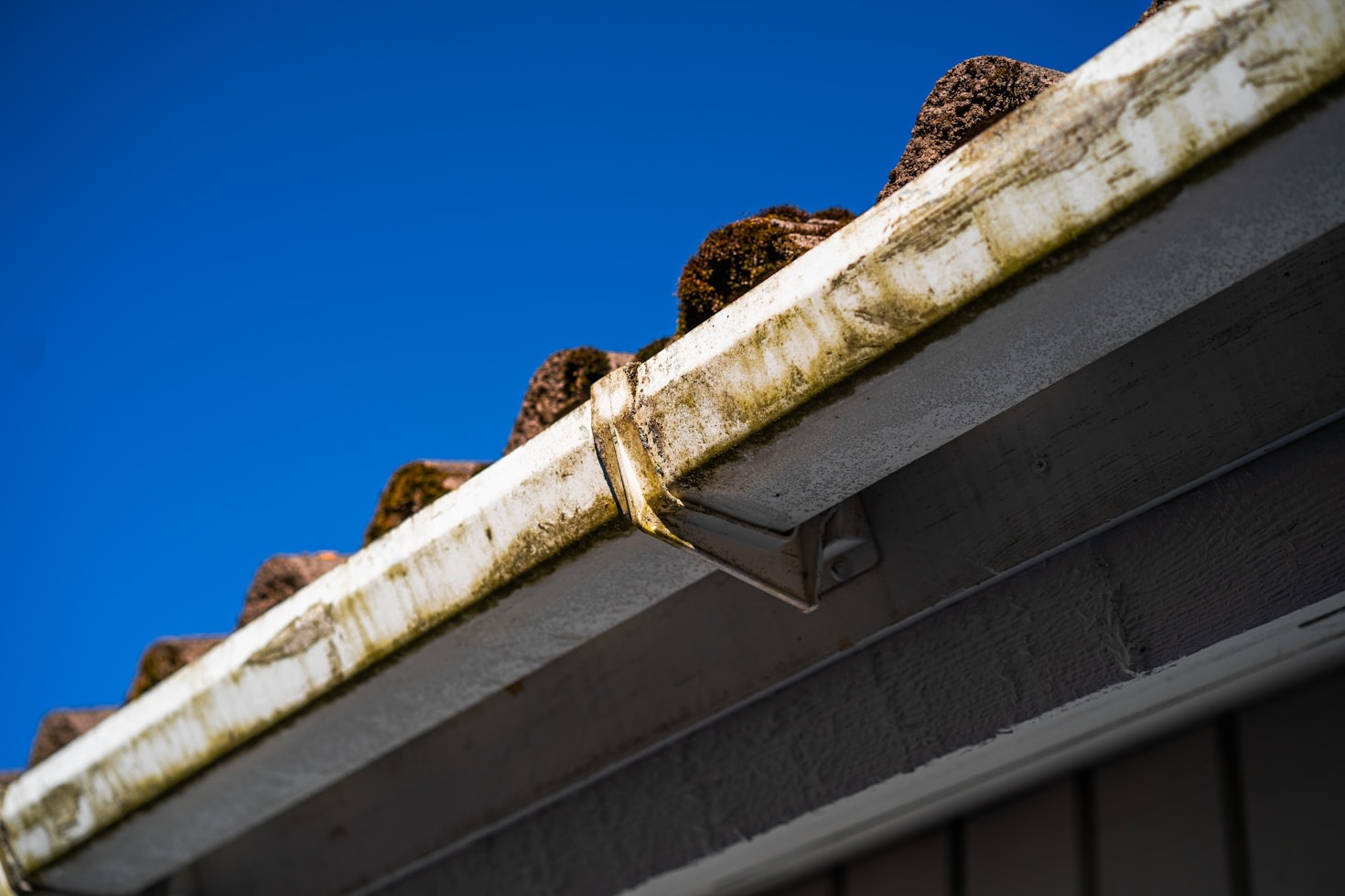 Maintaining Your Driveway: Tips for Algae and Mildew Prevention