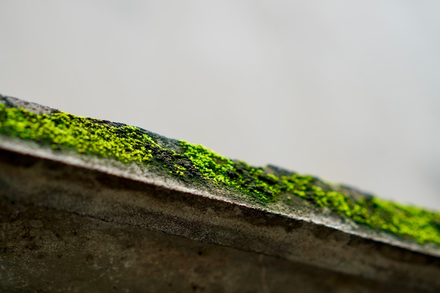 Why Choose Local Experts for Roof Cleaning in Kitsap County