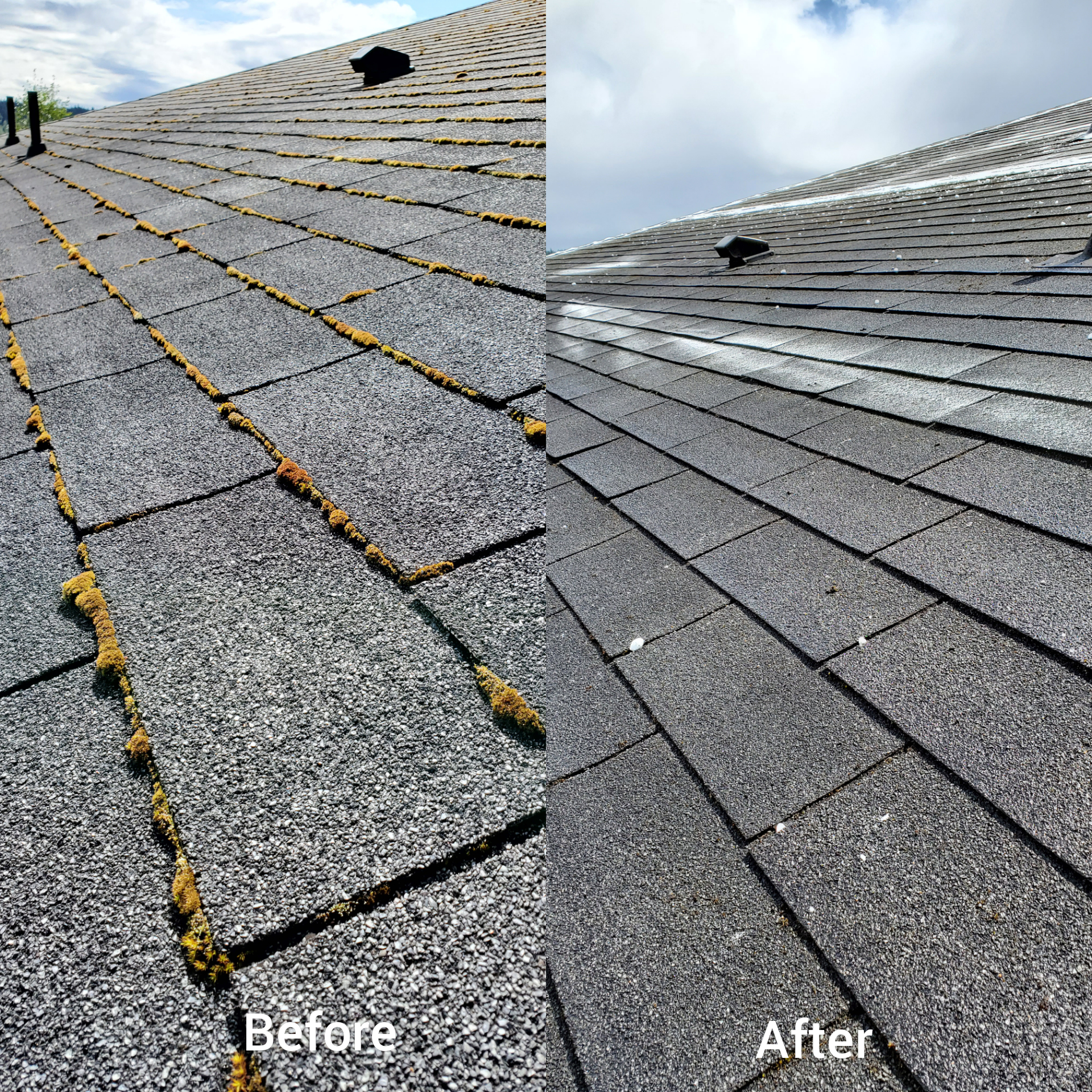 Before and after roof cleaning in Kitsap County home