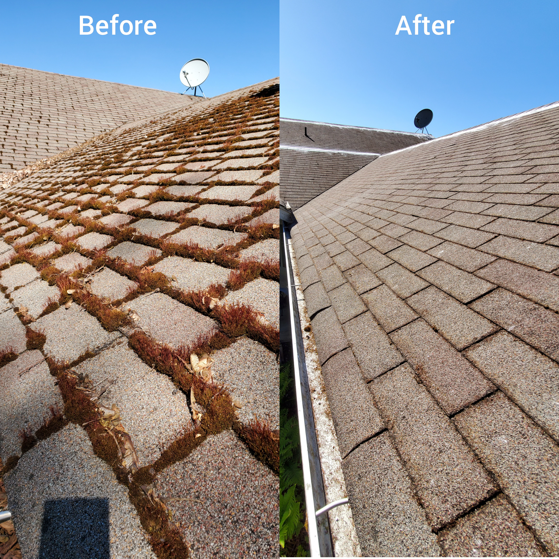 Before and after roof cleaning in Kitsap County home