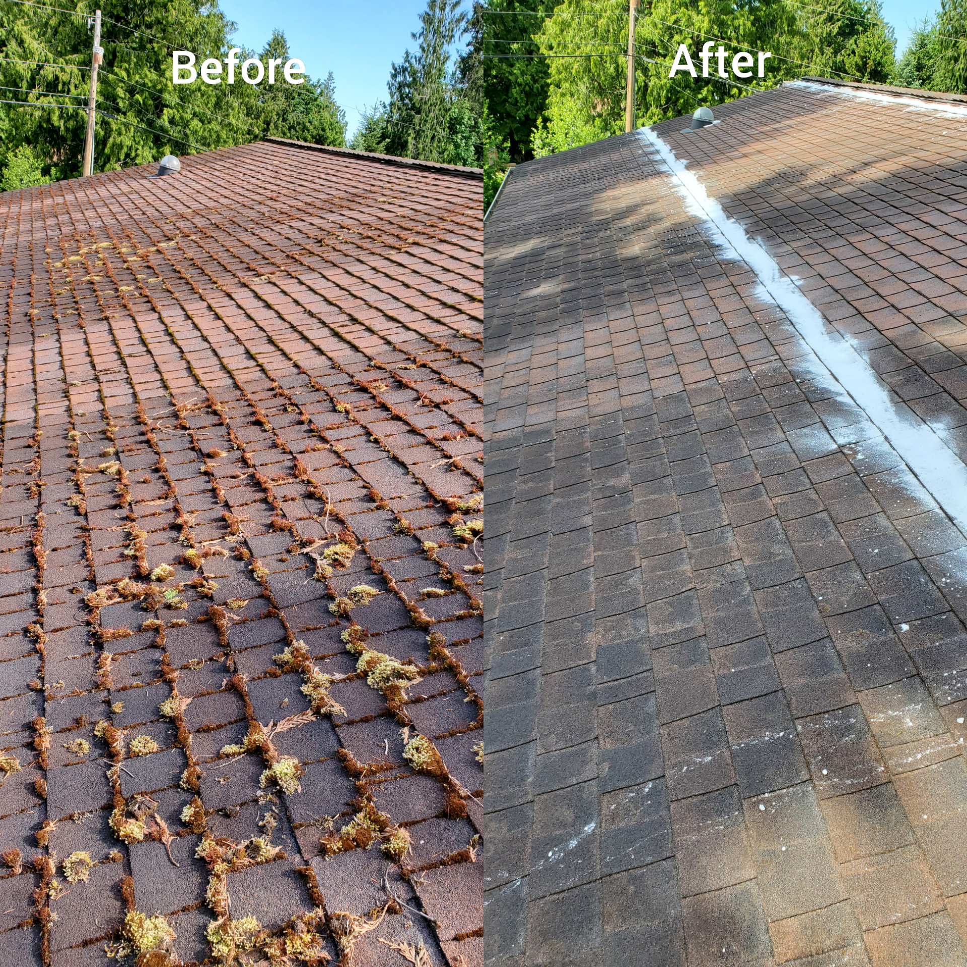 Before and after roof cleaning in Kitsap County home