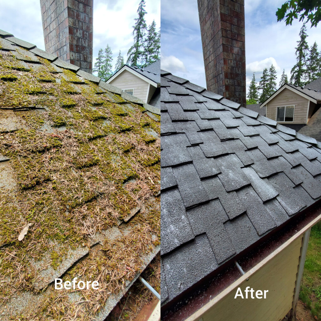 Safe moss removal from residential roof in Puget Sound"