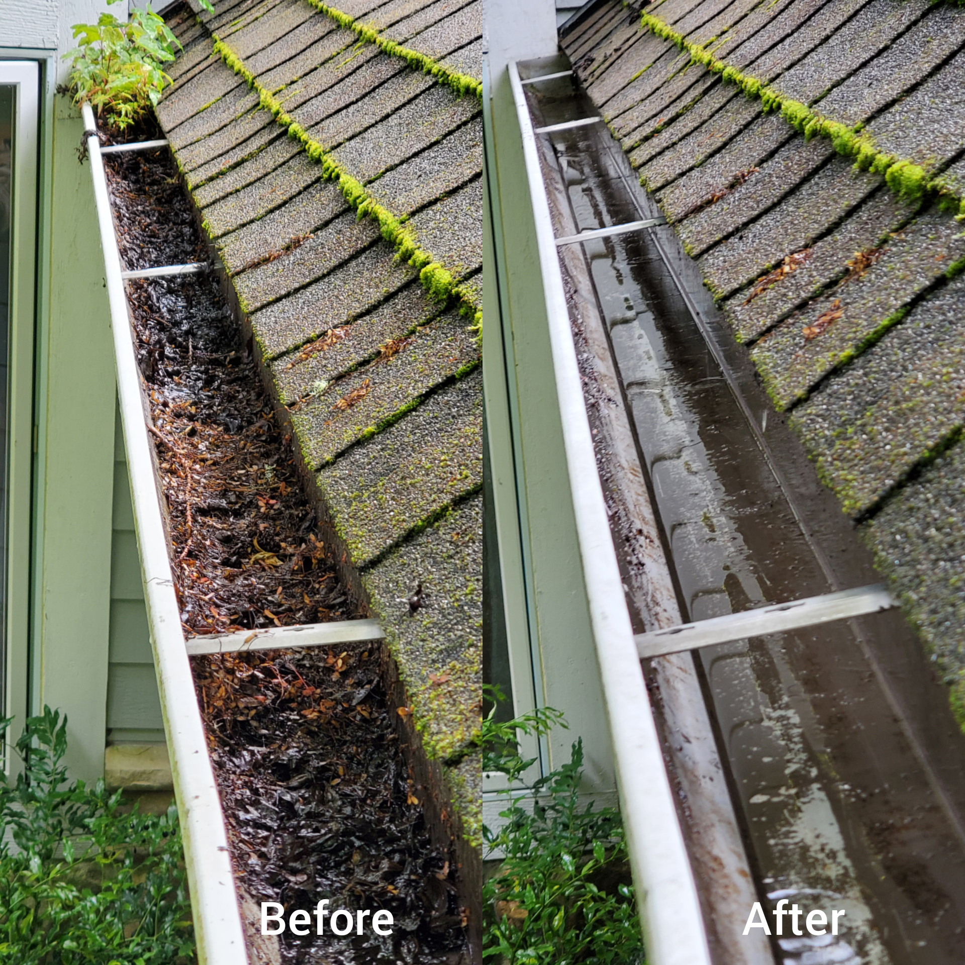 Before and after roof cleaning in Kitsap County home