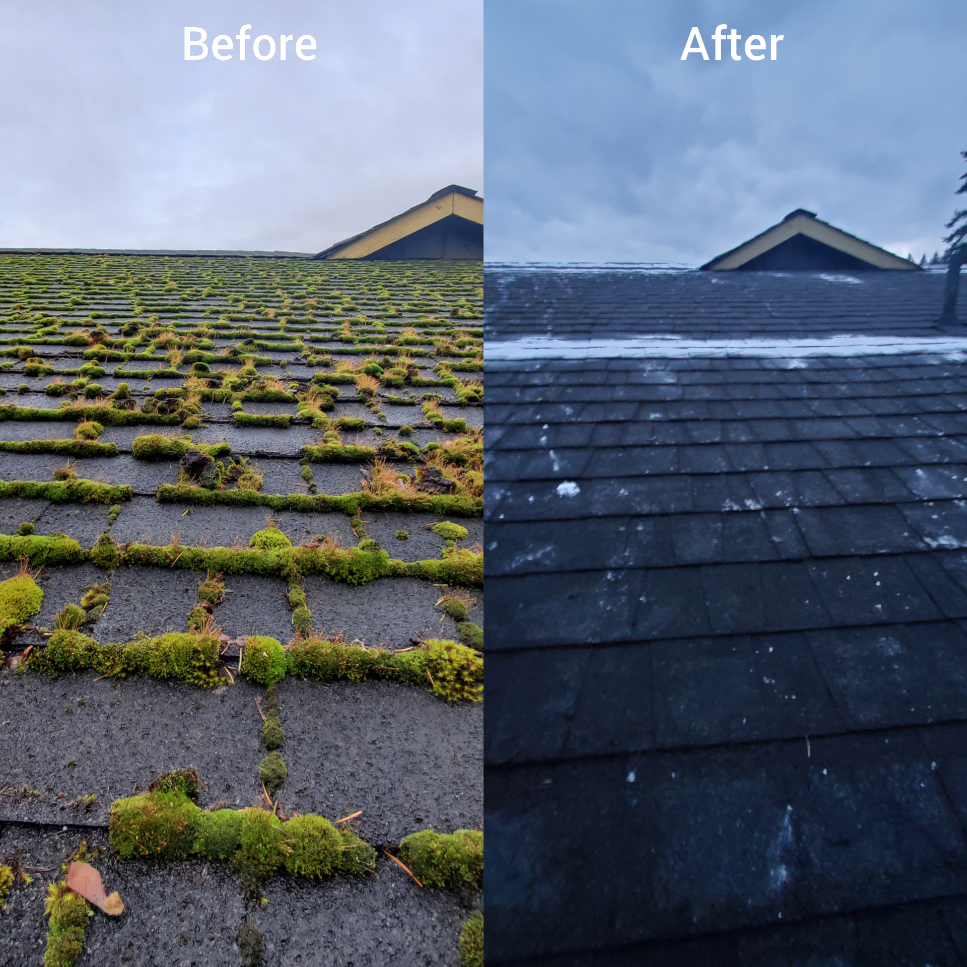 Before and after roof cleaning in Kitsap County home