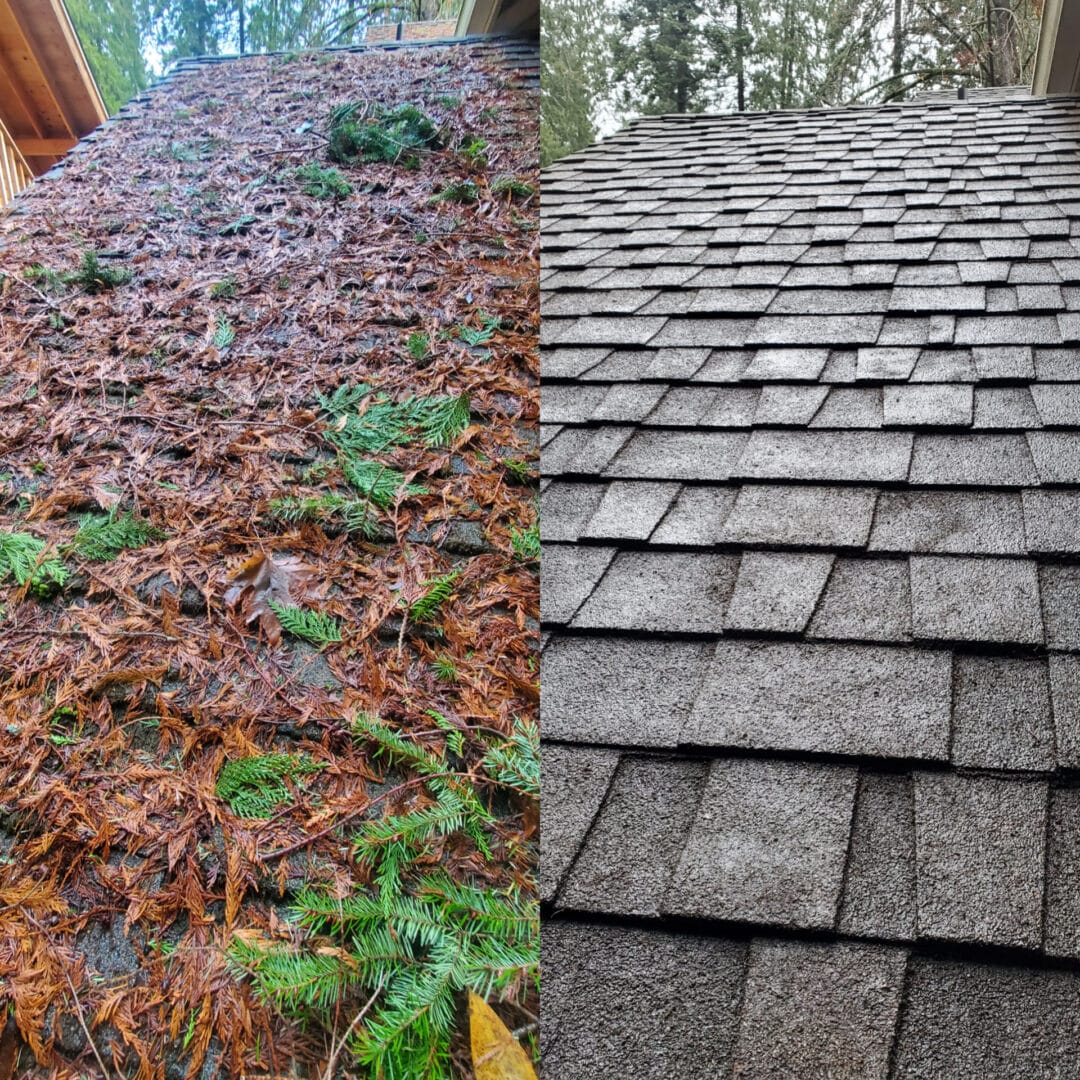 Before and after roof cleaning Kitsap County, Moss removal results Puget Sound