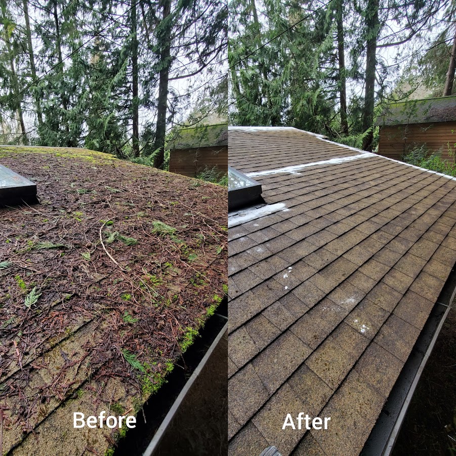 Before and after roof cleaning in Kitsap County home