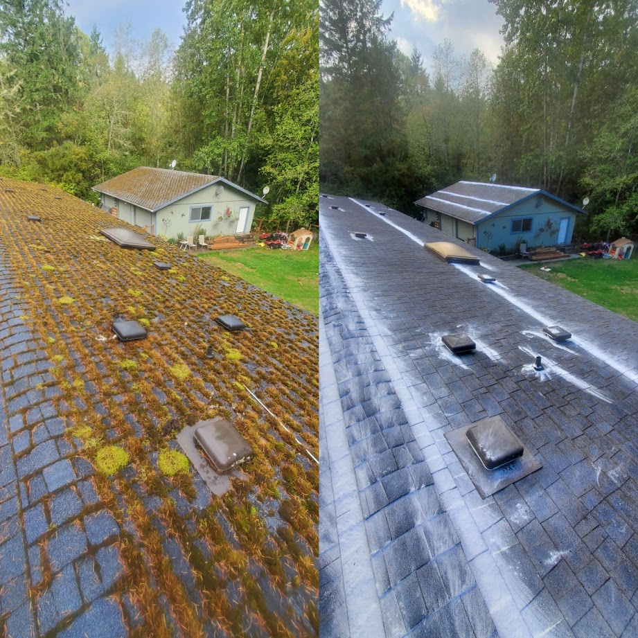 Before and after roof cleaning in Kitsap County home