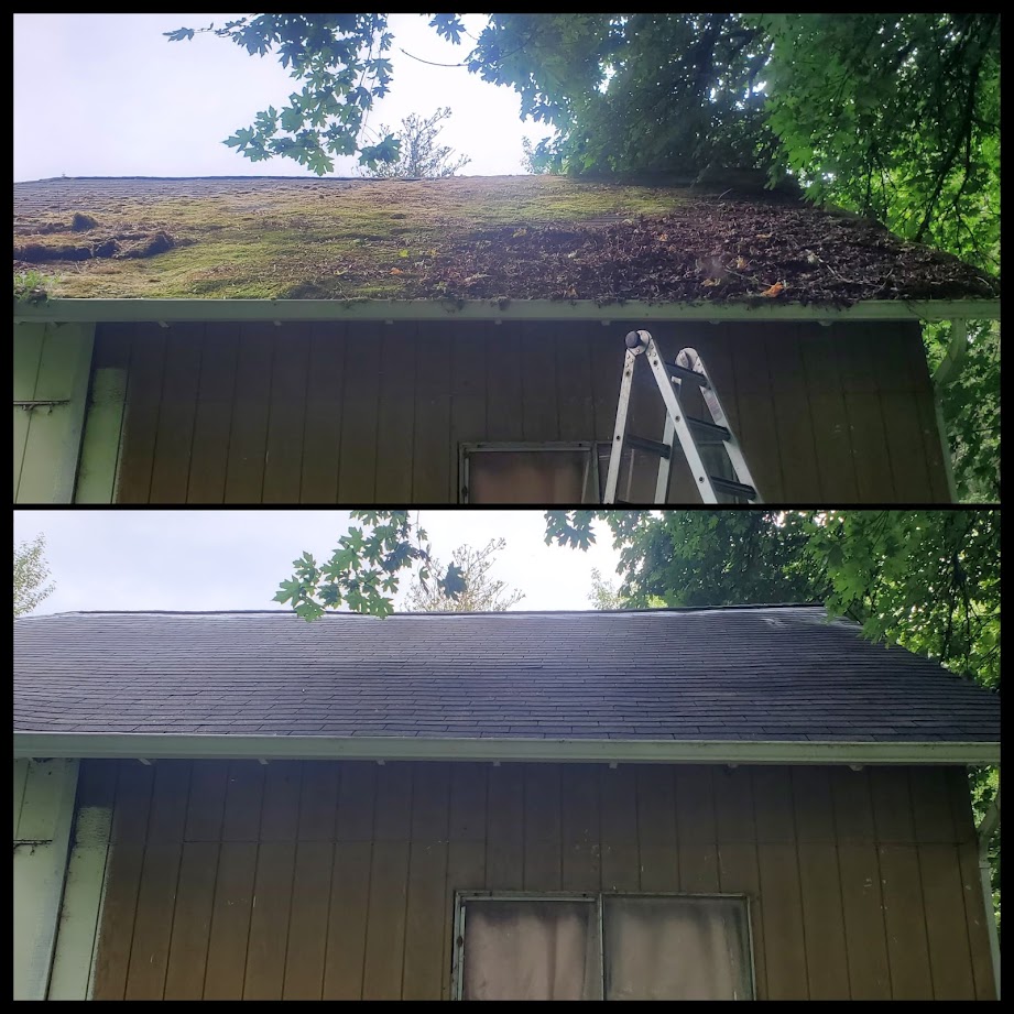 Before and after roof cleaning in Kitsap County home