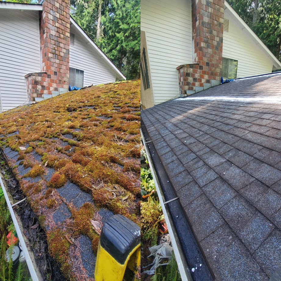 Before and after roof cleaning in Kitsap County home