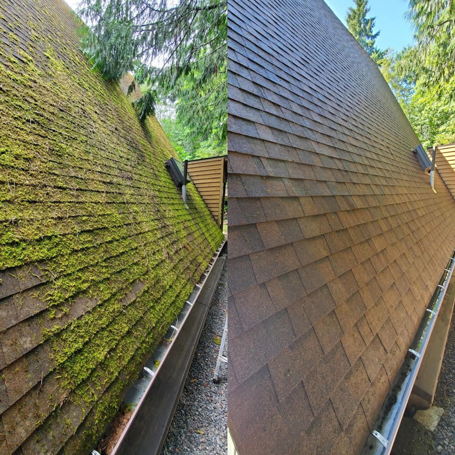Roof cleaning service in Kitsap County by PNW Moss Removal