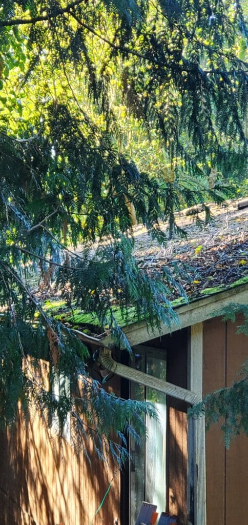 PNW Moss Removal providing expert roof and exterior cleaning services in the Pacific Northwest.