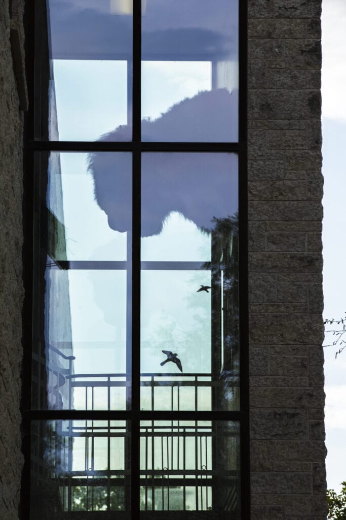 PNW Moss Removal providing expert roof and exterior cleaning services in the Pacific Northwest.