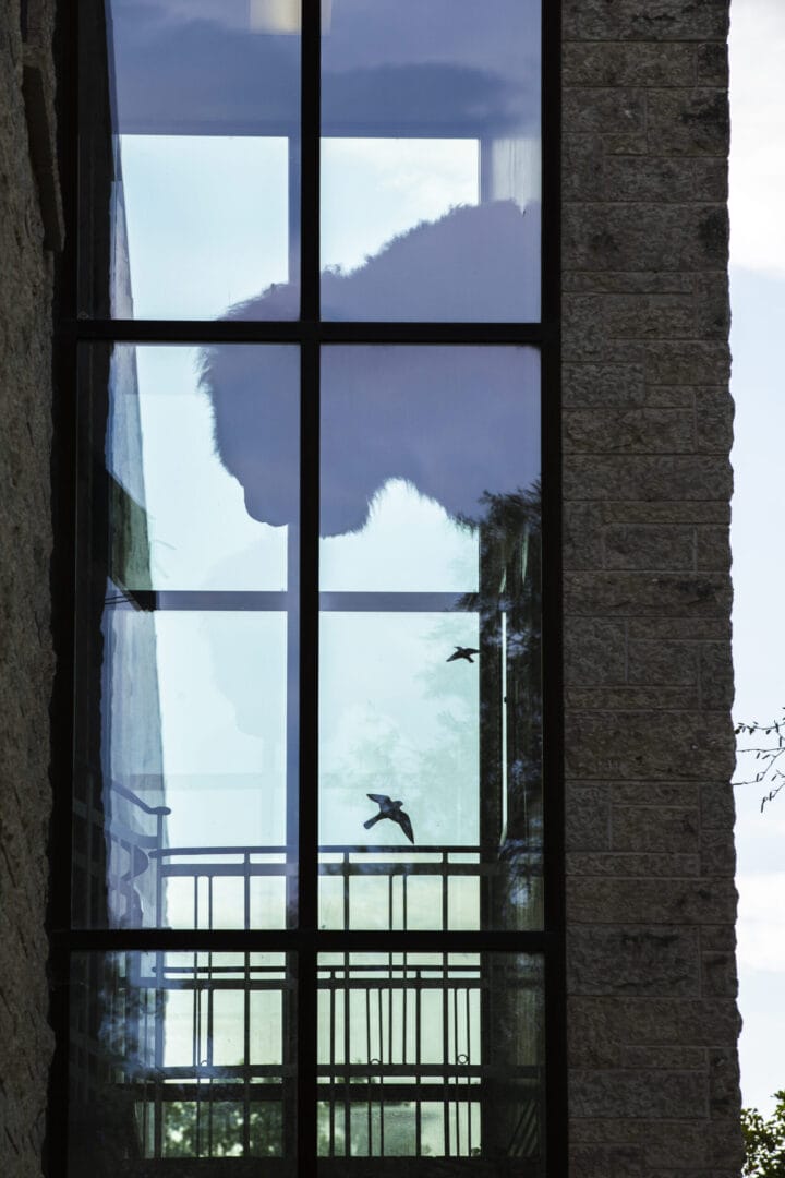 Window Cleaning & Maintenance Made Easy– Protect Your Home